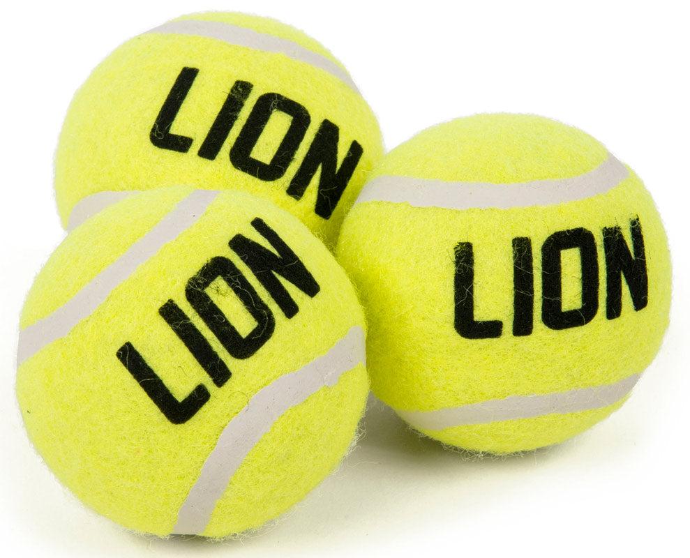 Tennisbolde