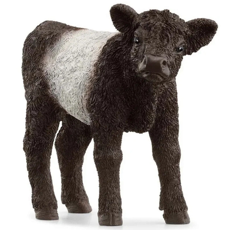 Schleich - Gallowaykalv