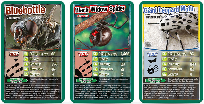 Top Trumps Insekter/Bugs