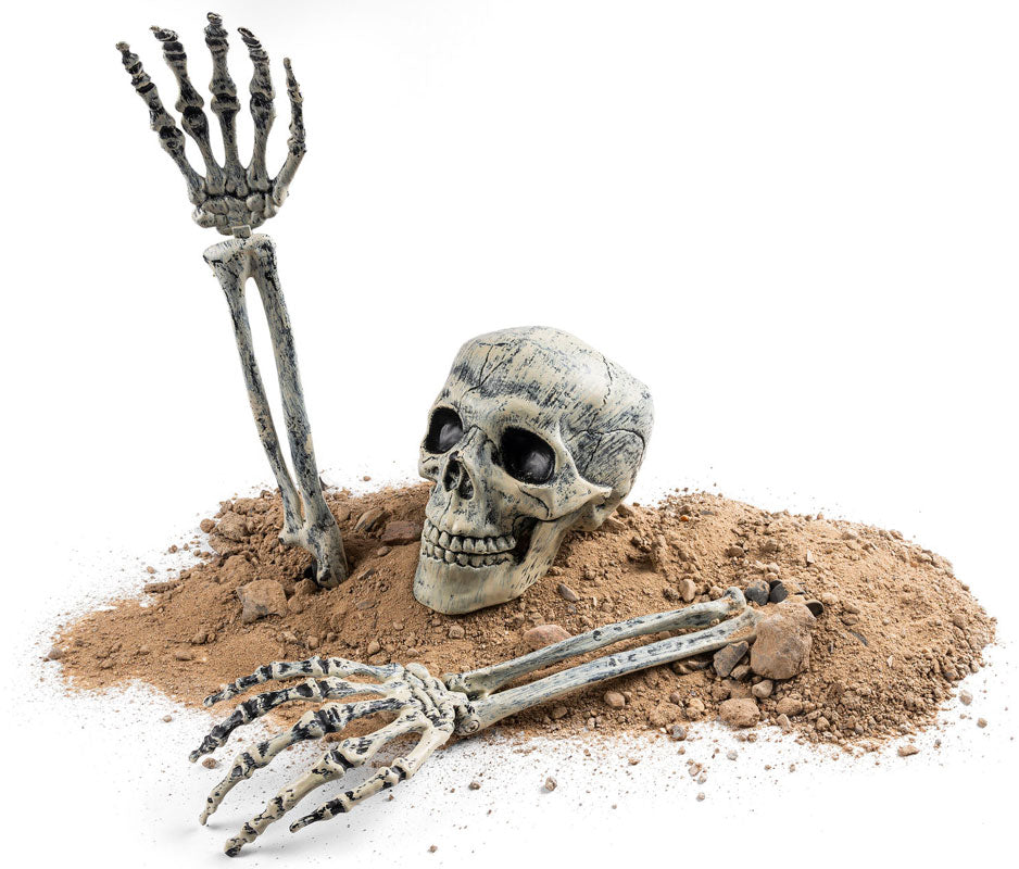 Skelethoved og knogler