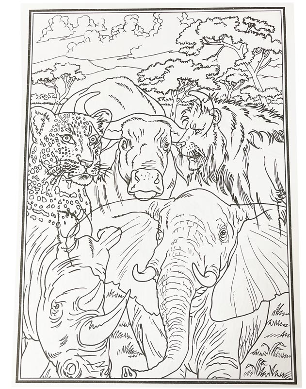 Malebog - Africas Big Five