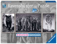 Ravensburger 1000 brikker - sort / hvid dyr panorama