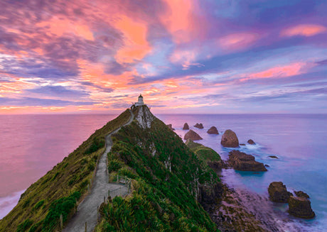 Puslespil 3000 brikker - Nugget Point Fyr, Sydøen - New Zealand