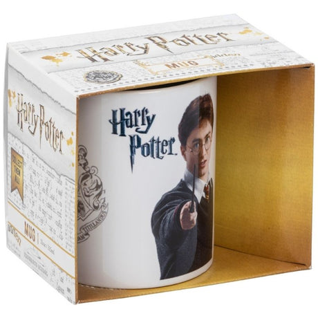 Harry Potter keramik krus
