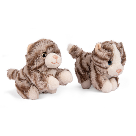 Kiddy Gravid Kat Bamse Med 2 Killinger 40cm