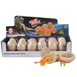Dinosauræg med udgravningssæt - Assorteret