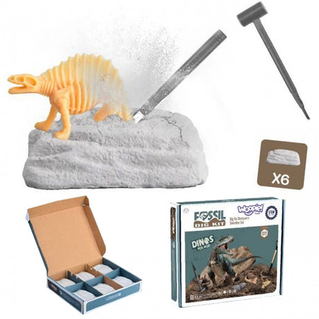 WOOPIE Dinosaurudgravning – 6 Skeletfigurer (6 år+)
