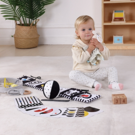 Sanselegetøj Play Box 0–2 mdr – 18 dele