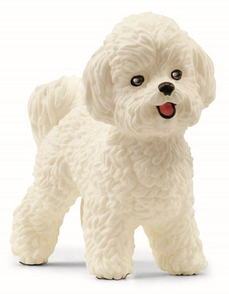 Schleich - Bichon Frisé