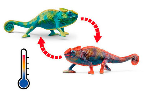 Schleich - Chameleon