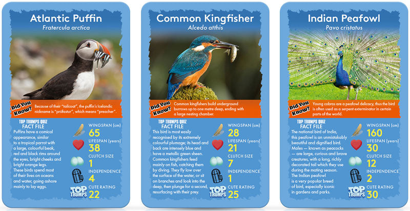 Top Trumps Birds