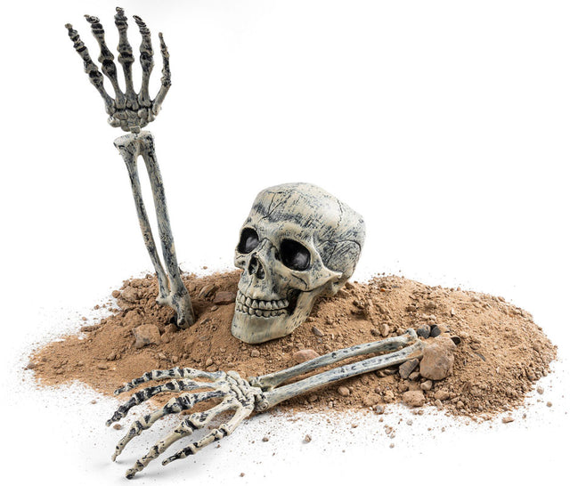 Skelethoved og knogler