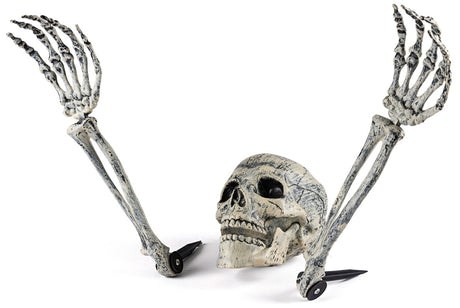 Skelethoved og knogler