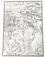 Malebog - Africas Big Five