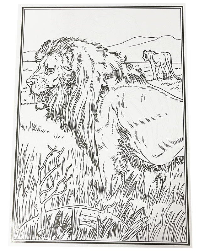 Malebog - Africas Big Five