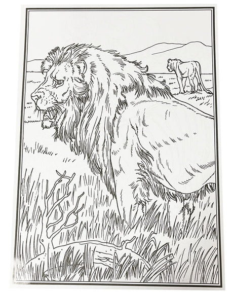 Malebog - Africas Big Five